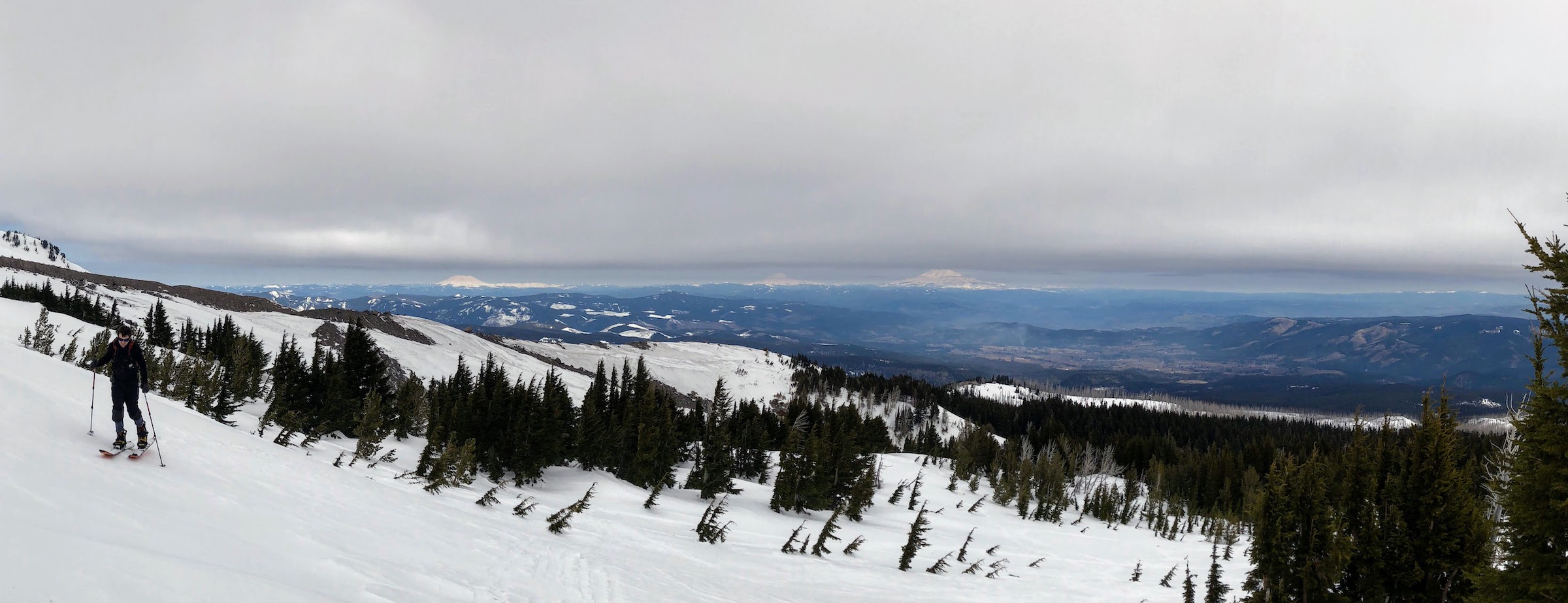 a man in a black ski suit skins up a pine tree-dotted snow field on Mt Hood with Mt Adams, Mt Rainier, and Mt St Helens visible in the distance