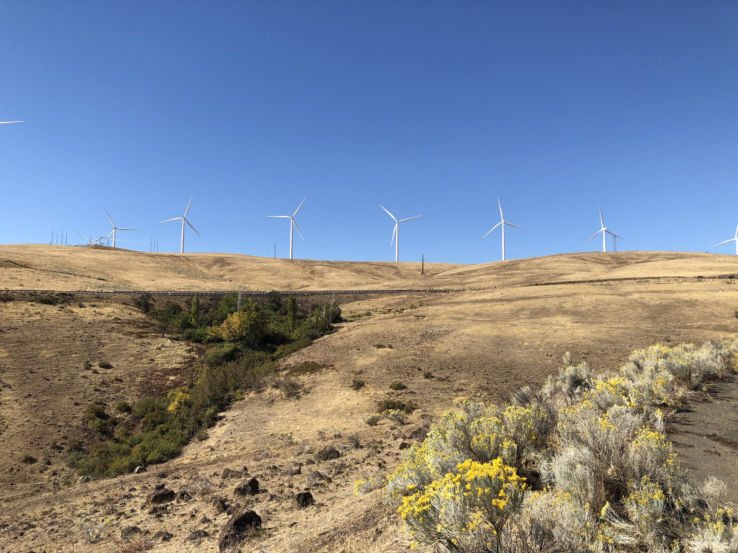a row of windmills at the top of a hill