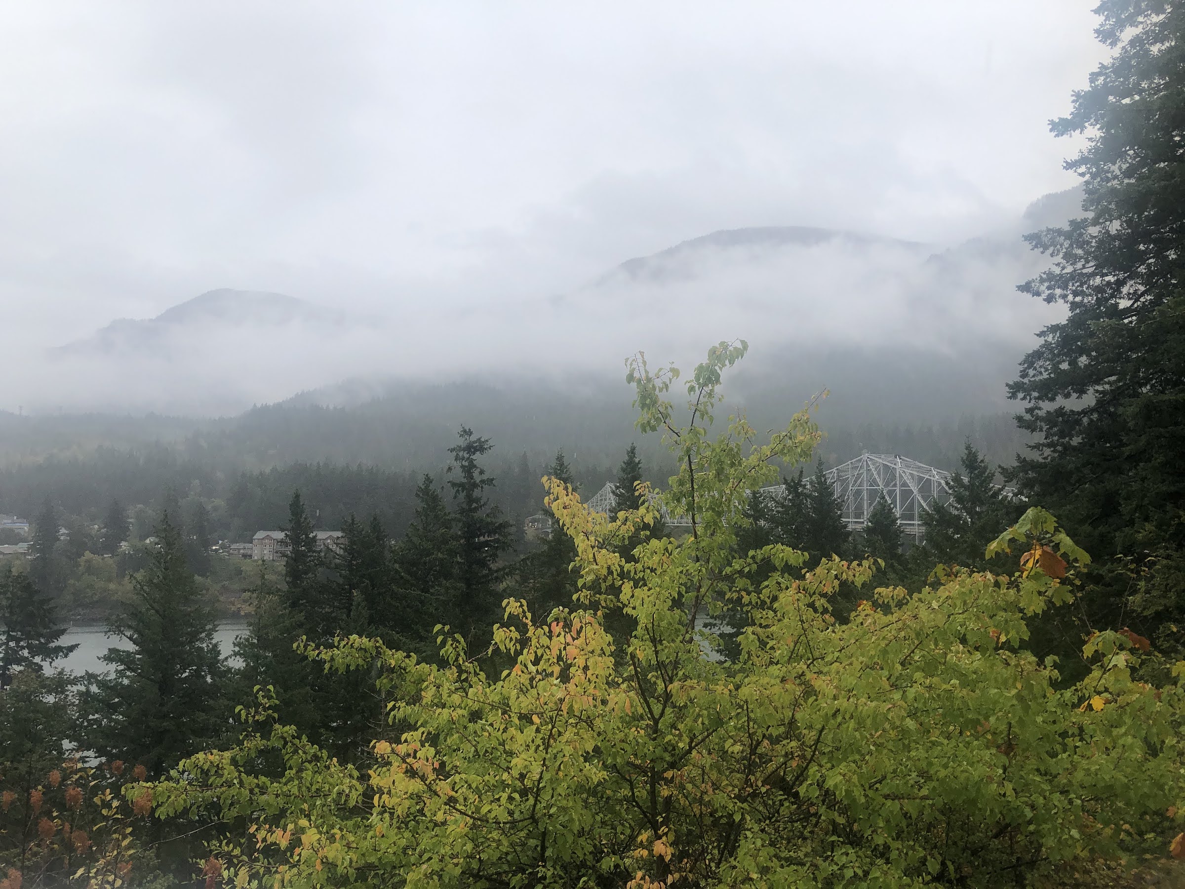 a truss bridge on a rainy day