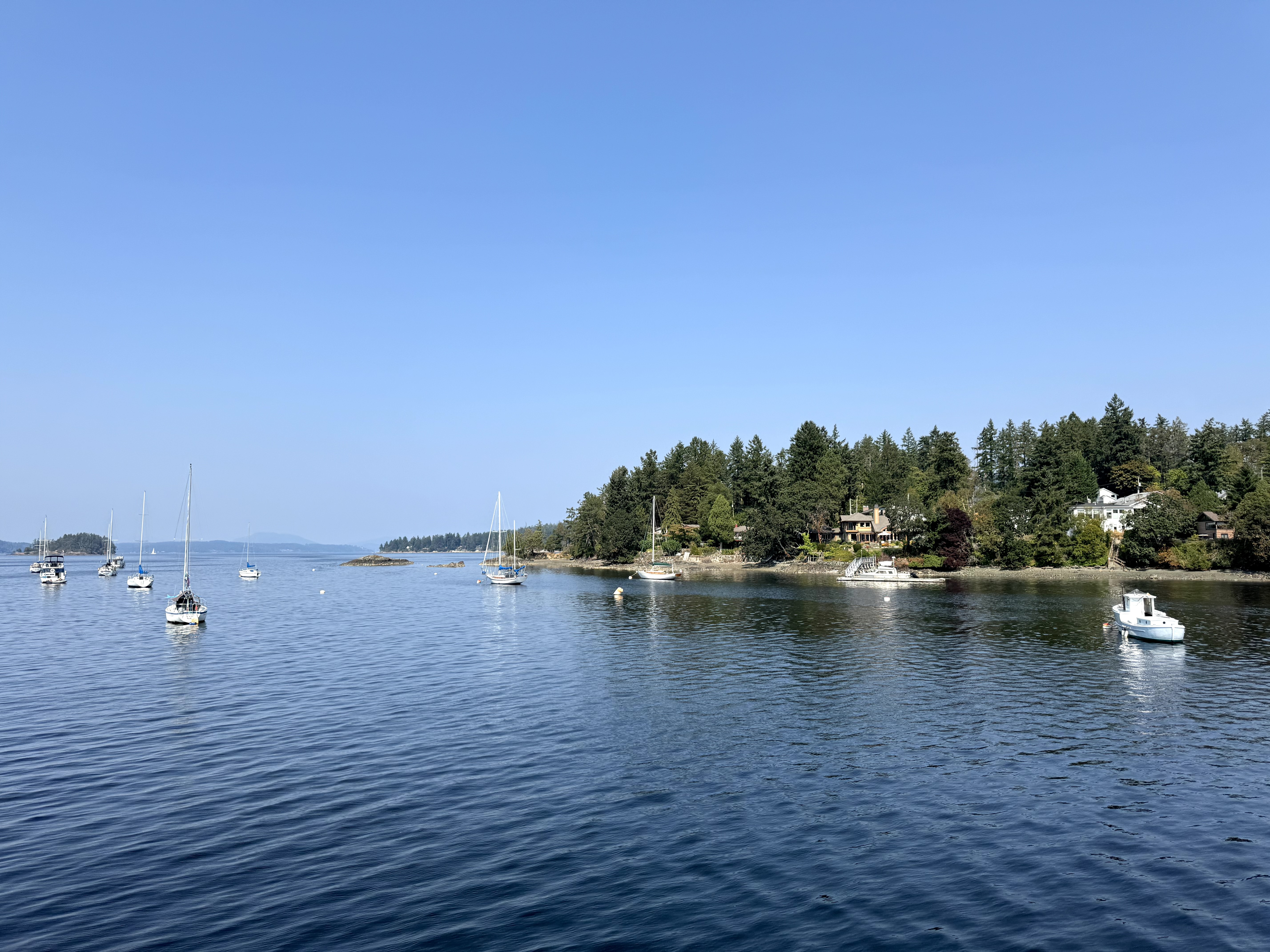 sailboats moored in mill bay