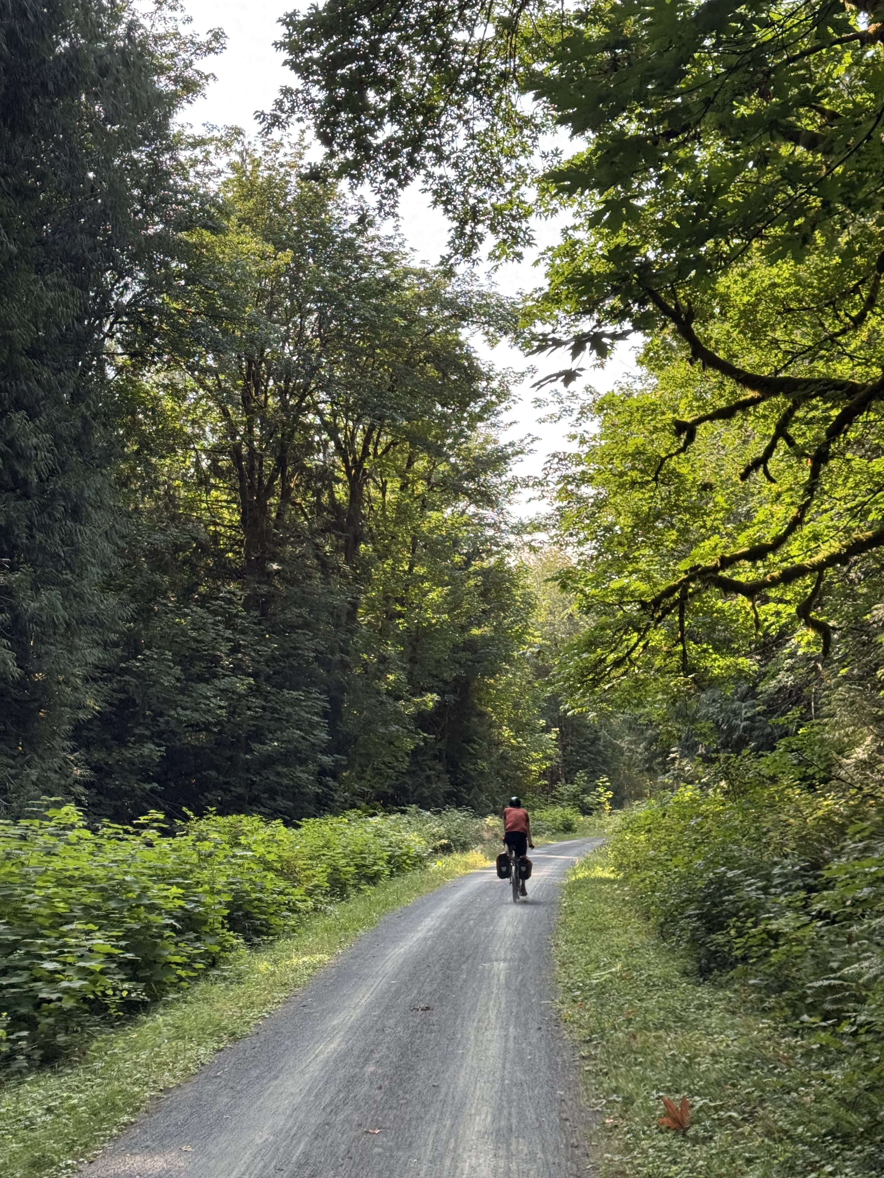 back view of a person on bike riding down a wooded gravel trail